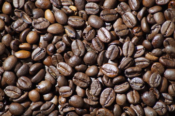 Kaffeebohnen