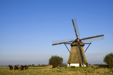 Fototapeta na wymiar Oude Doornse mill