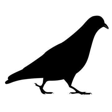 recommend clip art: Going black pigeon silhouette