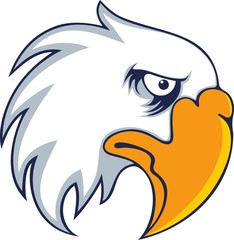 Bold eagle bird 
