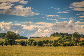Fototapeta premium Landschaft im Sommer