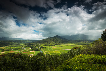 Fototapeta premium Hanalei Valley overlooking the taro fields