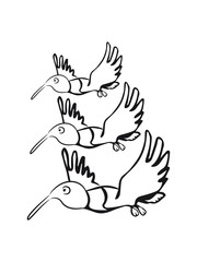 Bird fly formation fun