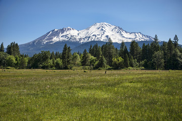 Mount Shasta 2016