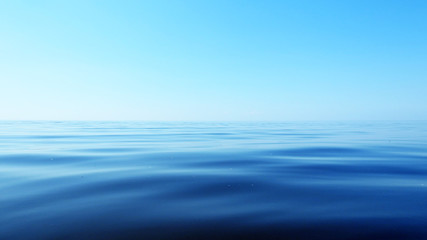 Macro Sea photo.