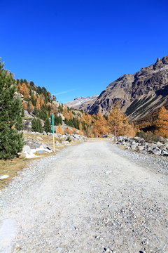 Morteratsch - Gletscherpfad - Schweiz