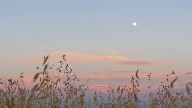 Sunset at Ascot Hills Park with moon at Los Angeles