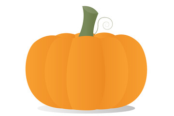 Single pumpkin on white