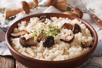 Italian risotto with wild mushrooms close up on the table. horizontal
