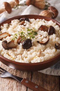 Traditional Italian risotto with wild porcini mushrooms close up in a dish. vertical
