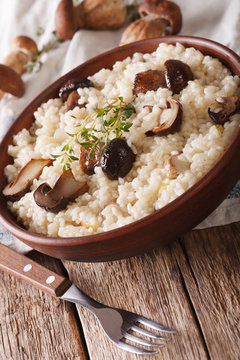 risotto with porcini mushrooms in a bowl close-up. Vertical

