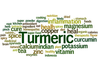 Fototapeta premium Turmeric, word cloud concept 6