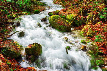 Fototapeta na wymiar Amazing view of mountain river among mossy stones in autumn