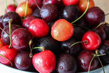 the berries оf cherries closeup