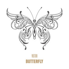 Outline vector butterfly on white background. Decorative ornament wings. 