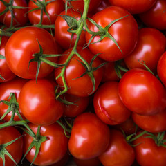 fresh tomatoes. red tomatoes background. Group of tomatoes