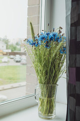 Beautiful blue cornflower herb bunch flowers in a glass vase on the window sill. Summer time concept. Still life, rustic style. Fresh floral, home decor.