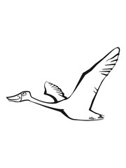 Bird flying goose duck