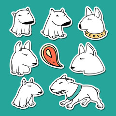 Dogs characters pitbull