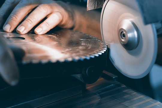 Sharpening Circular Saw, Worker Sharpens A Circular Saw Blade