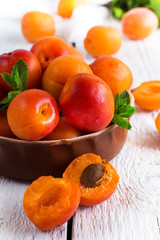 Ceramic bowl with organic ripe apricots