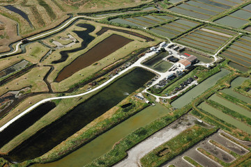 Marais de Saint-Just-Luzac vue du ciel