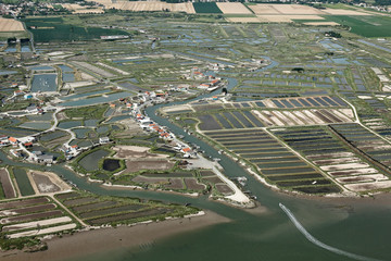 Arvert et la Seudre  vue du ciel
