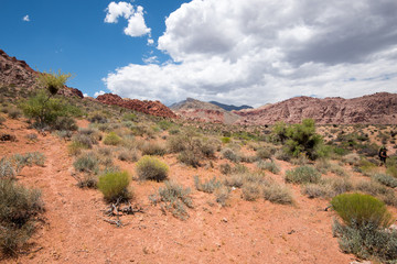 Calico Basin Red Springs at Red Rock Canyon