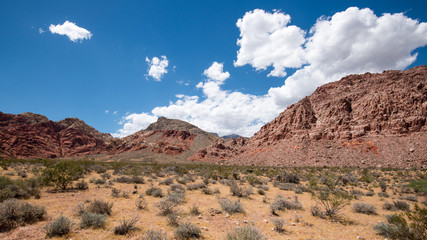 Fototapeta na wymiar Calico Basin Red Springs at Red Rock Canyon
