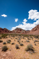 Calico Basin Red Springs at Red Rock Canyon