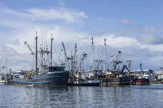 Docked commercial fishing boats.