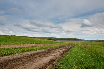 Summer landscape with grass, road and clouds