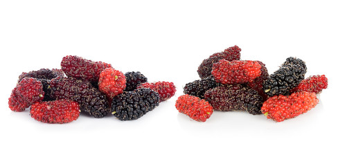Mulberry fruit on the white background