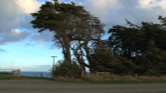 Catlins, southern Island, New-Zealand