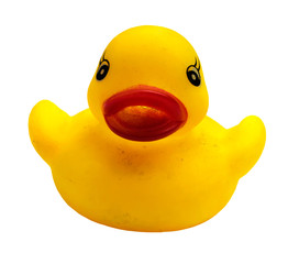 yellow gum duck on white background