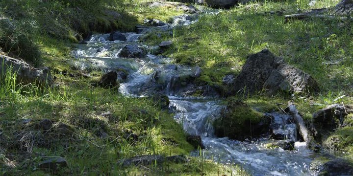 Small mountain stream tumbling over rocky bed between grassy banks