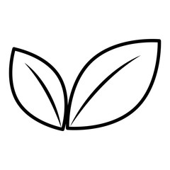 black and white flower leaves front view over isolated background, vector illustration 