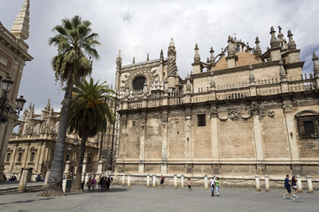 Obraz premium Cathedral of Seville