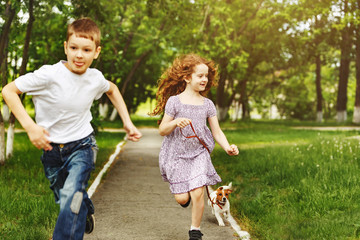 Fototapeta premium Boy and girl run in a park with a puppy jack russell terrier.