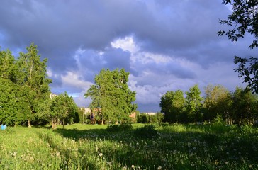 Obraz premium перед грозой.