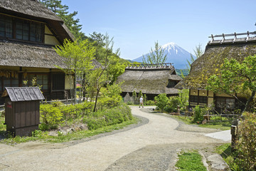 Fototapeta na wymiar Fuji Mountain and an old village in Japan.