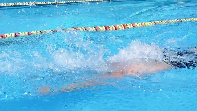 Professional swimmer is swimming butterfly in a pool. Butterfly training.