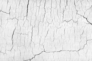 Bright background with wooden texture for any of your design