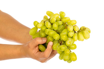 hand holding a bunch of green grapes
