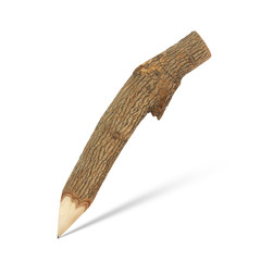 Branch pencil with shadow on a white background