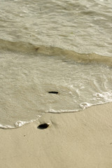 Tout va à la mer