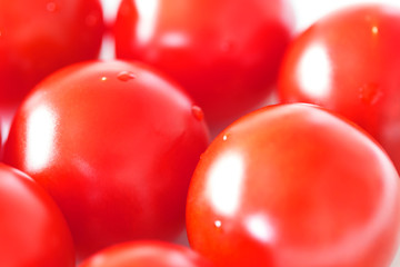 プチトマト　ミニトマト