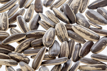 sunflower seeds