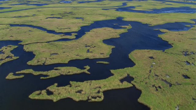 High flight over grassy swampland on the Gulf Coast