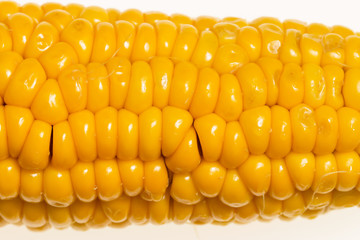 boiled corn on a white background